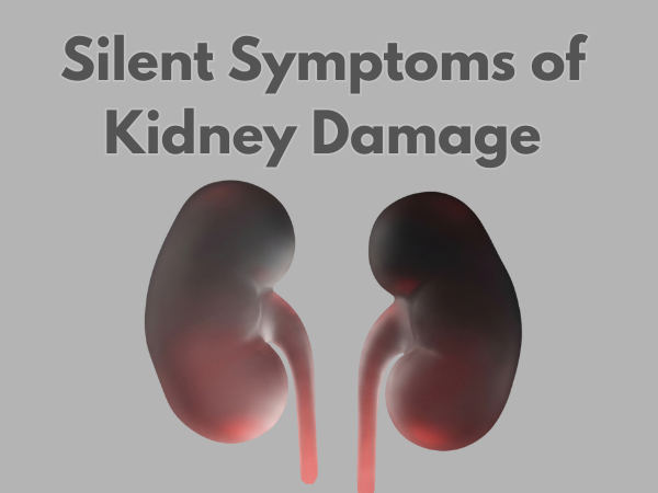 Illustration representing silent kidney damage with subtly highlighted human kidneys and no visible symptoms