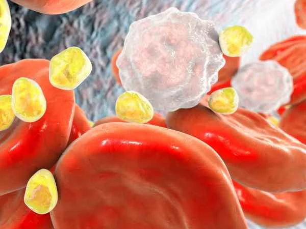 Advantages of Lower Levels of High Creatinine