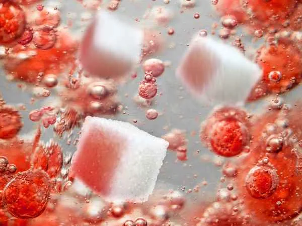 Glycemic Index Influence on Blood Sugar Levels