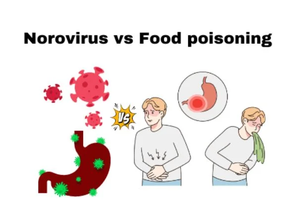 Key Differences_ Norovirus vs Food Poisoning
