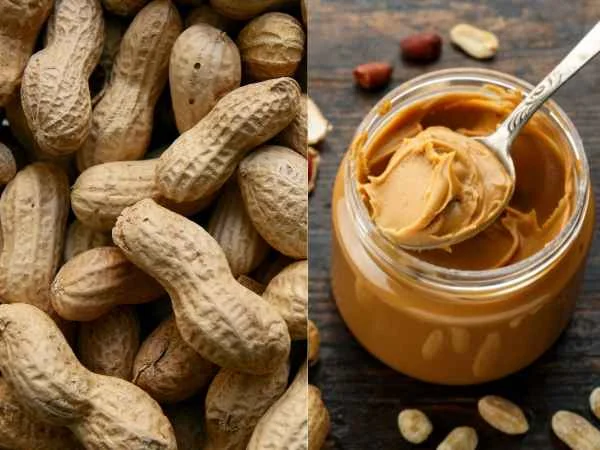 Peanut or Peanut Butter_ Which to Choose