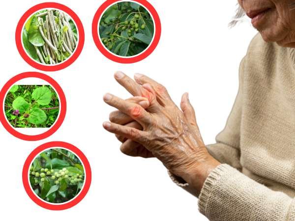 Ayurvedic Treatment Methods for Gout and Uric Acid