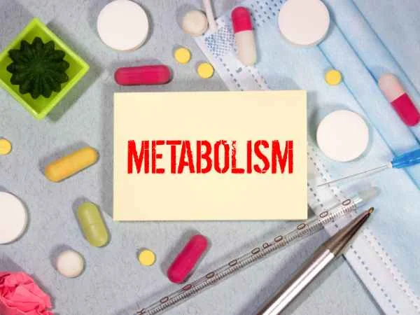 Breakfast and Metabolism_ The Influence of Protein-Dense Meals