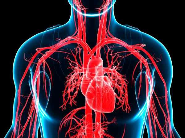 High Triglycerides and the Heart