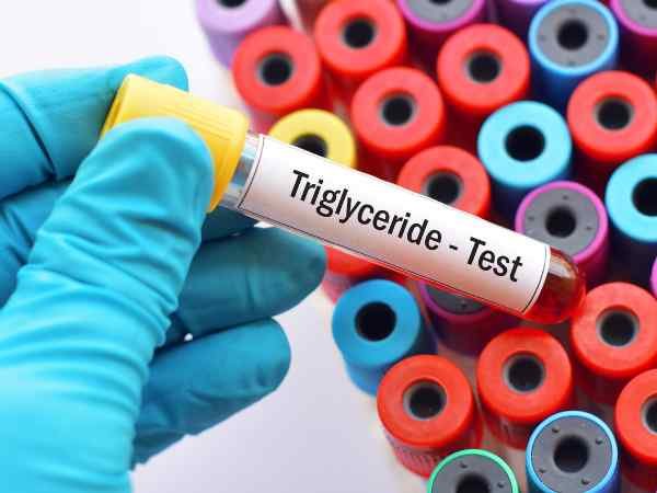 Triglycerides and How they Work in the Body