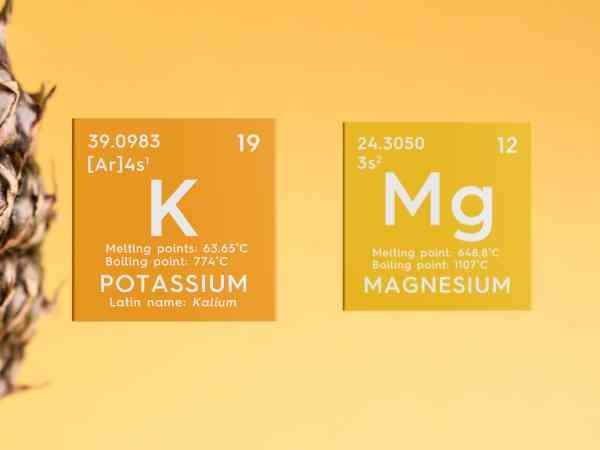 Magnesium and Potassium Muscle Relaxants