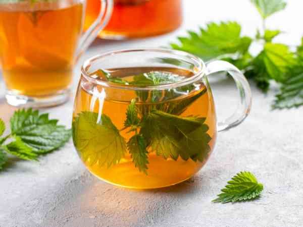 Nettle Tea The Anti-inflammatory Detox