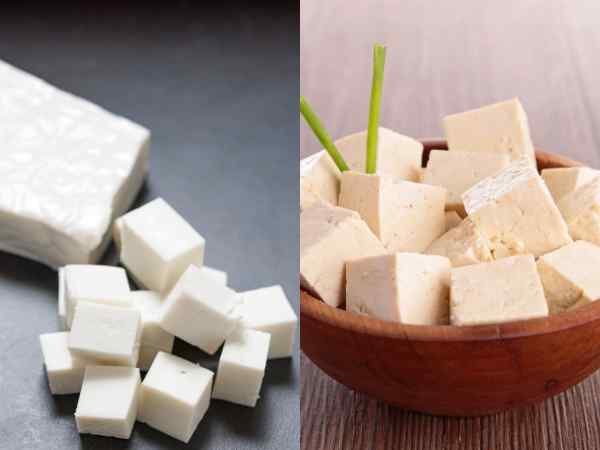 Paneer vs Tofu Which Has More Protein & Is Healthier