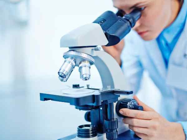 Scientific Studies and Expert Views