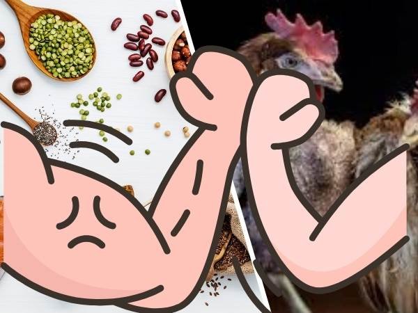 Weaknesses and Concerns