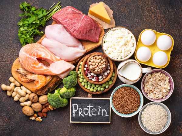 Which one has better quality in proteins