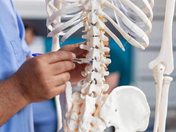 Builds Bones and Averts Osteoporosis