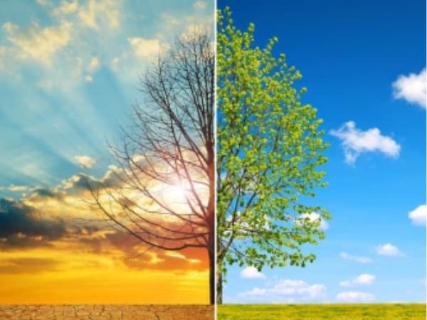 Climate Change – The Cause of the Extinction of Glaciers