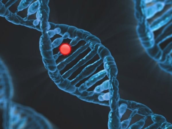 What Do These Mutations Make the Body Do