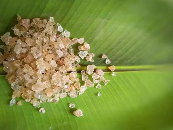 Ayurvedic Traditional Use of Gond