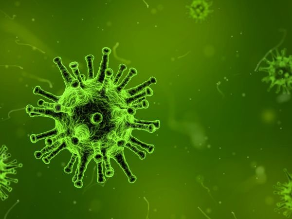 Immunity Boost & Infection Fight