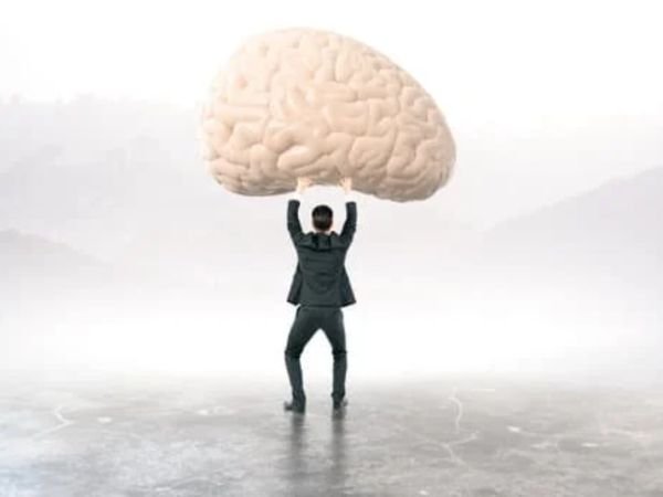 Your Gut Controls Your Mood More Than Your Brain